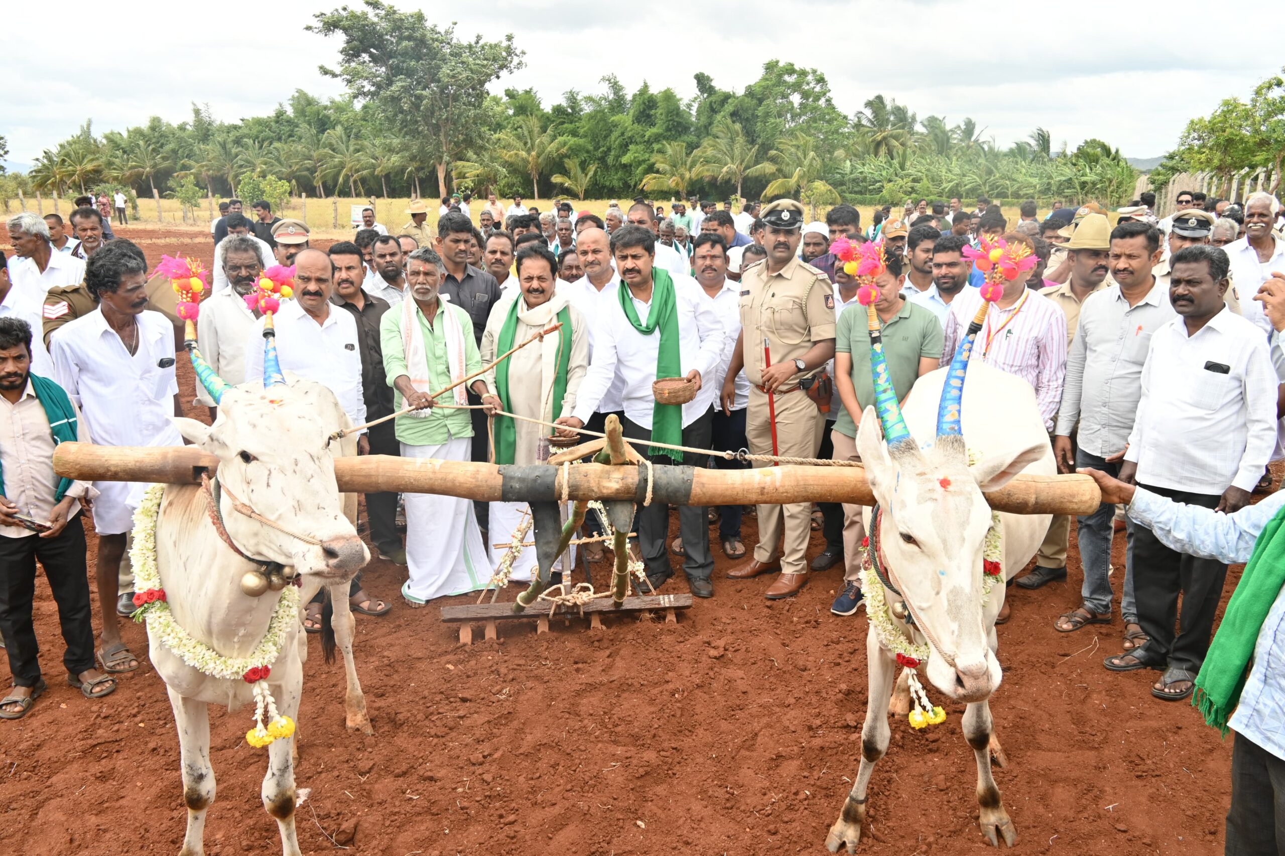 ಬಿತ್ತನೆ ಅಭಿಯಾನಕ್ಕೆ ಕೃಷಿ ಸಚಿವ ಎನ್. ಚಲುವರಾಯಸ್ವಾಮಿ ಚಾಲನೆ.