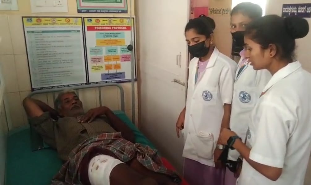 ಕರಡಿ ದಾಳಿ : ರೈತನಿಗೆ ಗಾಯ…!