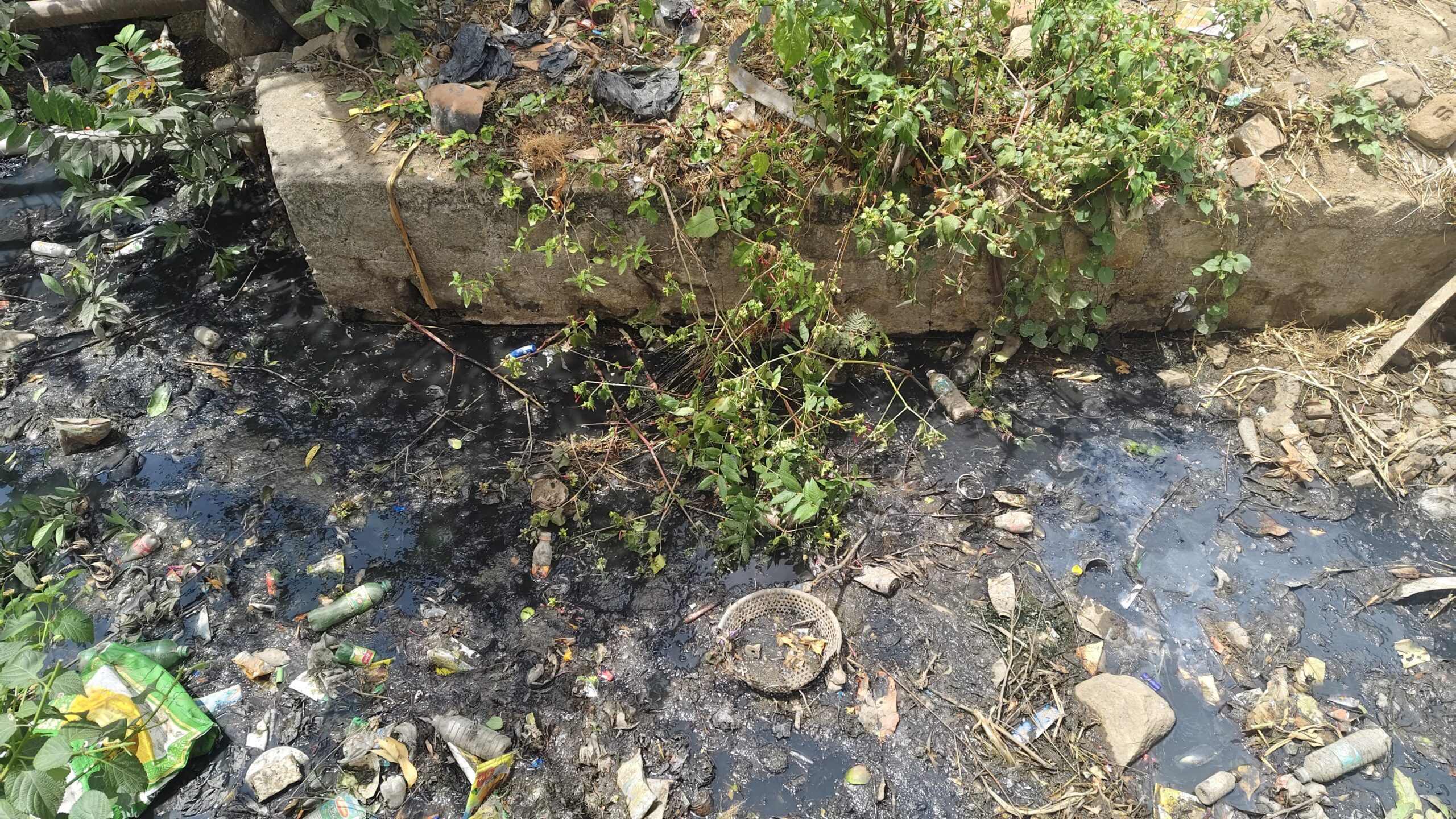 ಗಬ್ಬೆದ್ದು ನಾರುತ್ತಿರುವ ಕೌದಳ್ಳಿ ಗ್ರಾಮದ ಚರಂಡಿ : ಗ್ರಾ ಪಂ ಅಧಿಕಾರಿಗಳ ಬೇಜವಾಬ್ದಾರಿ ಮತ್ತು ನಿರ್ಲಕ್ಷ್ಯ