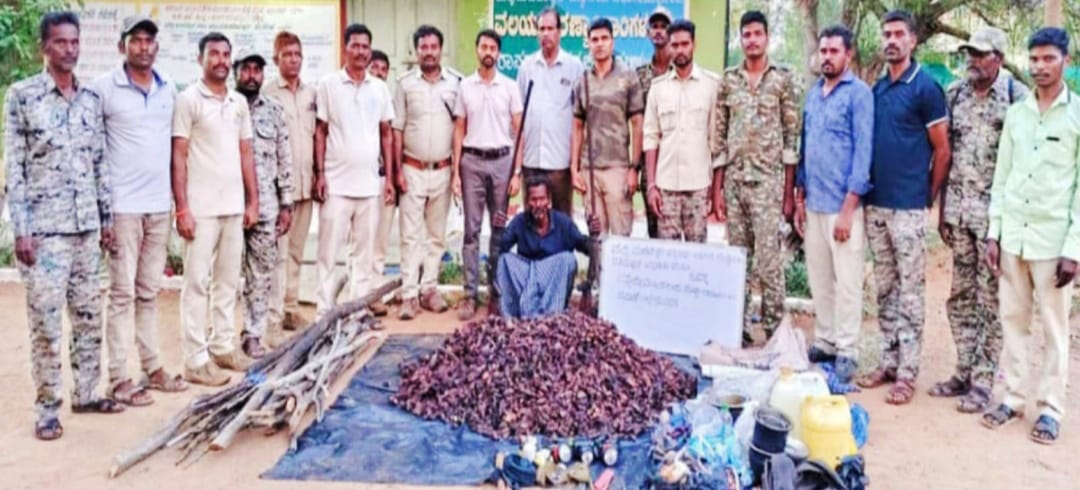 ಕಾಡೆಮ್ಮೆ ಬೇಟೆ: ಒಬ್ಬನ ಬಂಧನ ಇಬ್ಬರು ಪರಾರಿ…